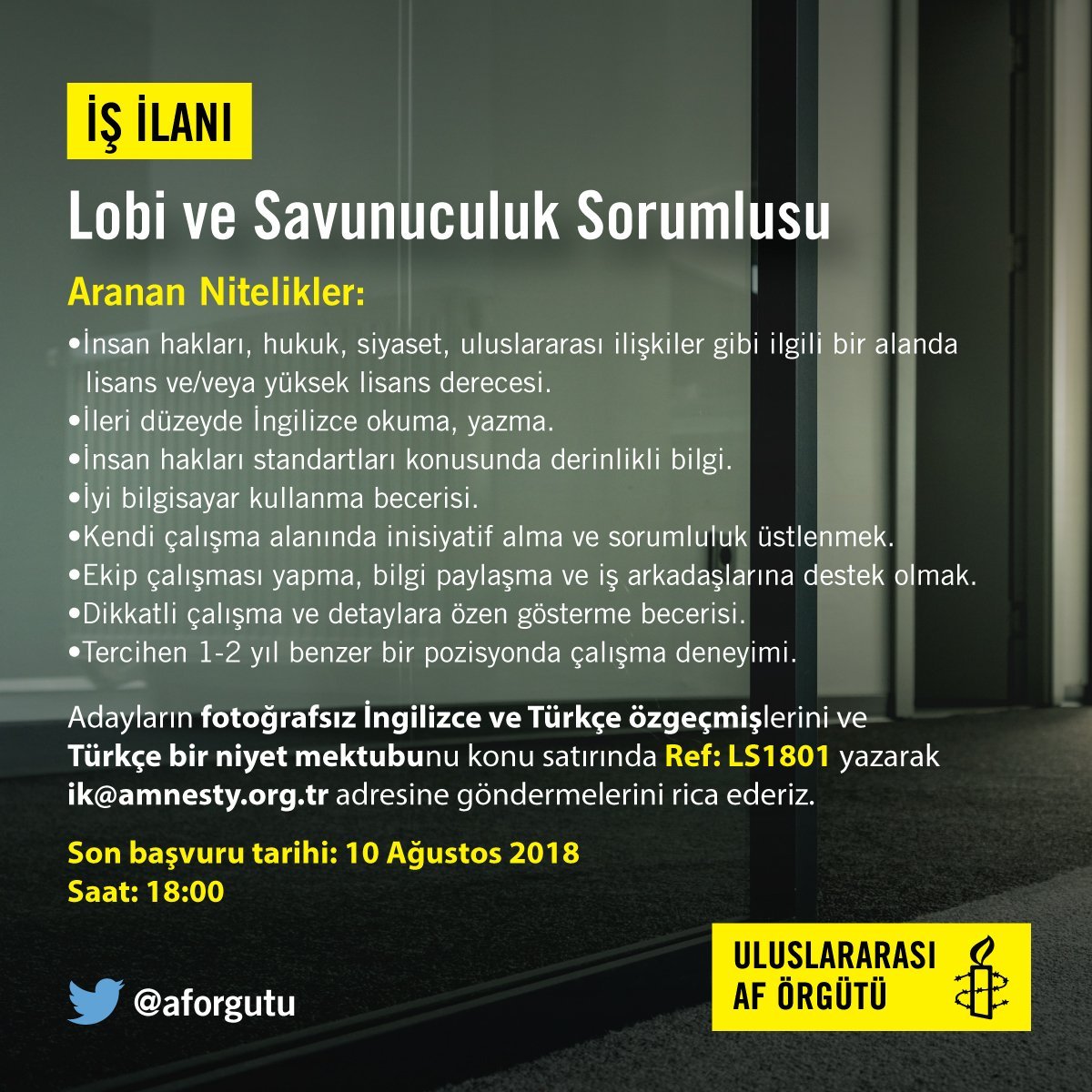 Uluslararası Af Örgütü Lobi ve Savunuculuk Sorumlusu arıyor!