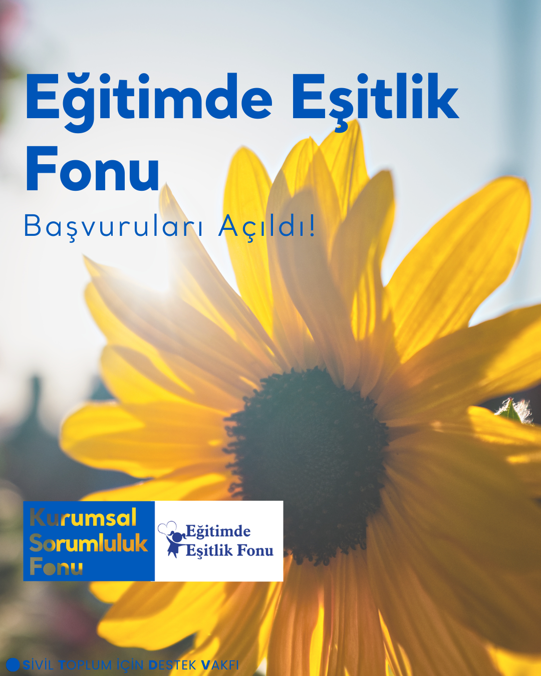 Eğitimde Eşitlik Fonu İçin Başvurular Açıldı